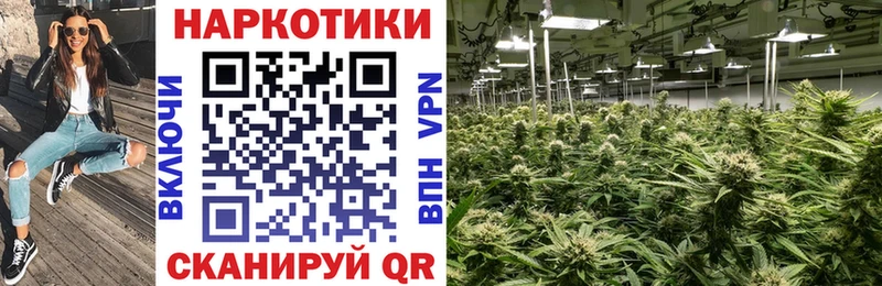 Сколько стоит Бийск Бошки Шишки  Псилоцибиновые грибы  АМФ  ГАШИШ  COCAIN  A PVP  Меф 