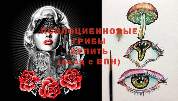 ПСИЛОЦИБИНОВЫЕ ГРИБЫ Абинск