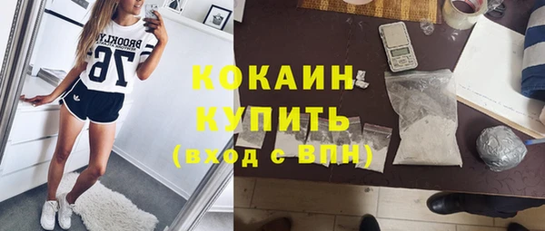 молекула духа Алексеевка
