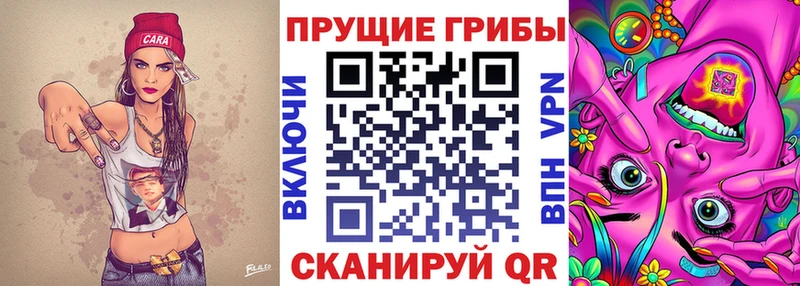 Галлюциногенные грибы MAGIC MUSHROOMS  наркота  Бийск 